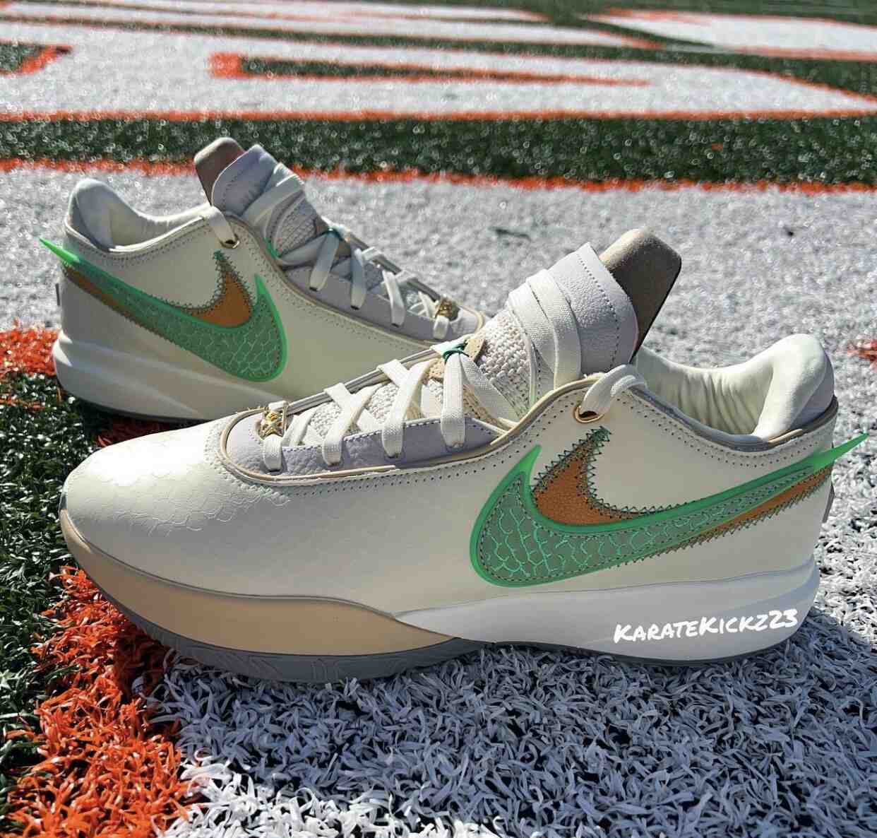 FAMU APB Nike LeBron 20 FN8263-100