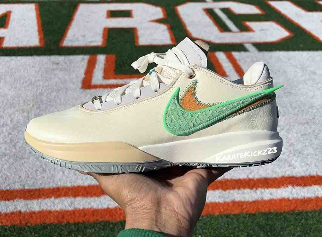 FAMU APB Nike LeBron 20 FN8263-100