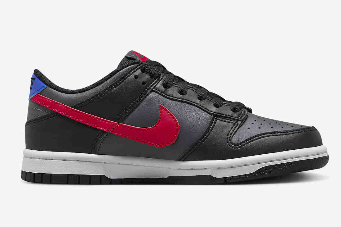 Nike Dunk Low GS Black Grey Red Blue FV0373-001