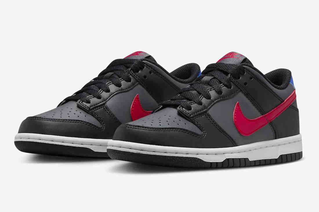 Nike Dunk Low GS Black Grey Red Blue FV0373-001