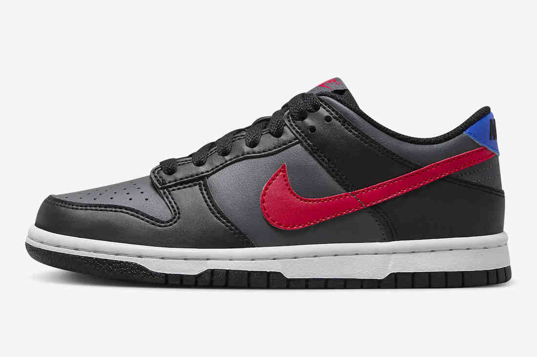 Nike Dunk Low GS Black Grey Red Blue FV0373-001