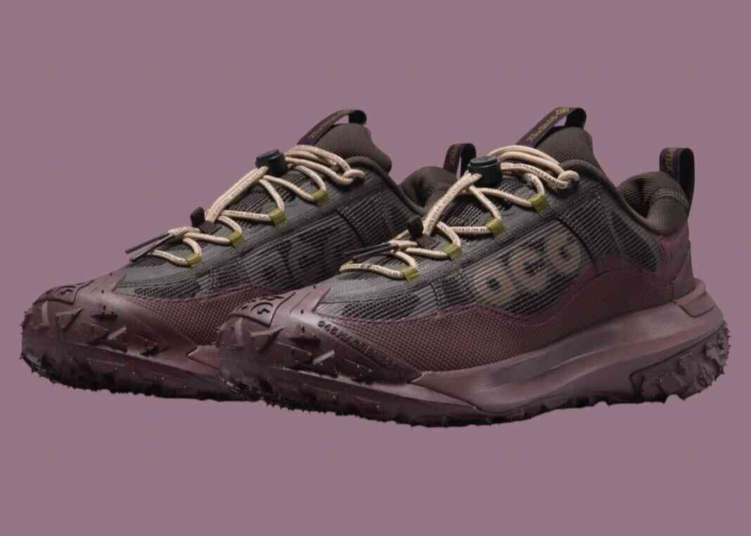 耐克 ACG Mountain Fly 2 Low Gore-Tex “天鹅绒棕色 “2024 年秋季发布